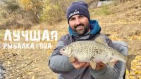 Рыбалка на фидер поздней осенью на реке Ахтуба — Рыболовный дневник