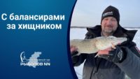 В поисках хищника на Чебоксарском водохранилище — Рыболов NN