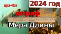 Нормы вылова рыбы в 2024 году