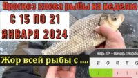 Прогноз клева рыбы с 15 по 21 января 2024 года