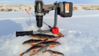 Окунь на «Ваучер» в феврале — Рыбалка на реке