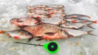 Рыбалка на Озерне в глухозимье — Рыбалка с дедом Маркелычем