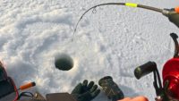 Январский рекорд — Рыбалка с Сибиряком