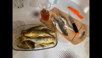 Вкусный вяленый окунь в домашних условиях — Рыбалка с Петровичем