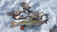 Последний лёд на Оке — Рыбалка 62
