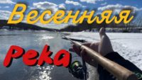 Весенняя рыбалка на Москве-реке — Рыбалка с Петровичем
