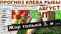 Прогноз клева рыбы с 01 августа по 06 августа 2024 года