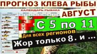 Прогноз клева рыбы с 06 августа по 11 августа 2024 года