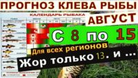 Прогноз клева рыбы с 08 августа по 15 августа 2024 года