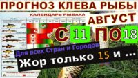 Прогноз клева рыбы с 11 августа по 18 августа 2024 года