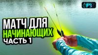 Матч для начинающих. Часть 1 — FISHBROTHERS