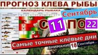 Прогноз клева рыбы с 11 сентября по 22 сентября 2024 года