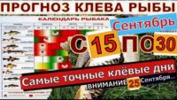 Прогноз клева рыбы с 15 сентября по 30 сентября 2024 года