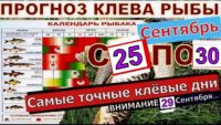 Прогноз клева рыбы с 25 сентября по 30 сентября 2024 года