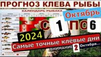 Прогноз клева рыбы с 01 октября по 06 октября 2024 года