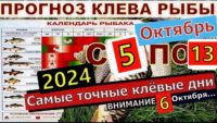 Прогноз клева рыбы с 05 октября по 13 октября 2024 года