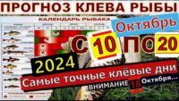 Прогноз клева рыбы с 10 октября по 20 октября 2024 года