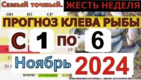 Прогноз клева рыбы с 01 ноября по 06 ноября 2024 года