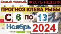 Прогноз клева рыбы с 06 ноября по 13 ноября 2024 года