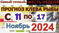 Прогноз клева рыбы с 11 ноября по 17 ноября 2024 года