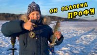 Судак проснулся