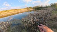 Болото с щуками — Рыбалка 68