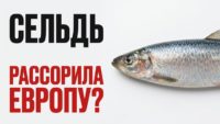 Рыба: Сельдь
