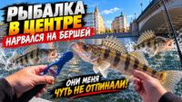 Берш в центре Москвы