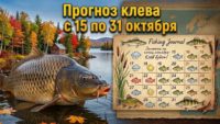 Прогноз клева рыбы с 15 октября по 31 октября 2026 года