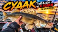 Судак на виброхвосты осенью Судак на виброхвосты осенью