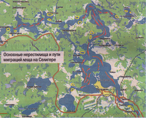 Нерестовая карта московской области