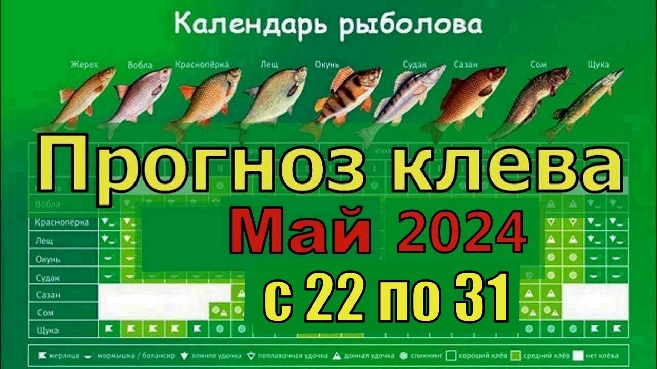 Календарь на сентябрь 2024 год рыболова лунный Все о рыбалке Охота Видео Статьи Техника ловли Календарь рыболова Виды рыб Совет